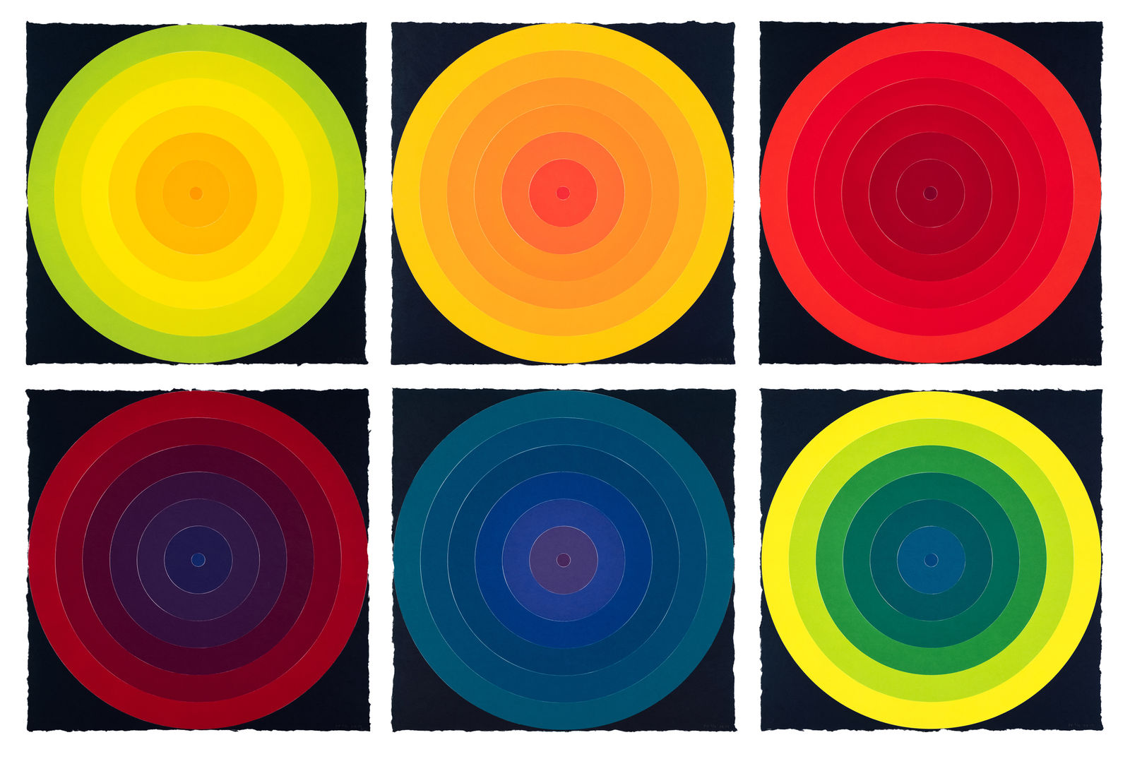 Polly Apfelbaum On Target Print Edition