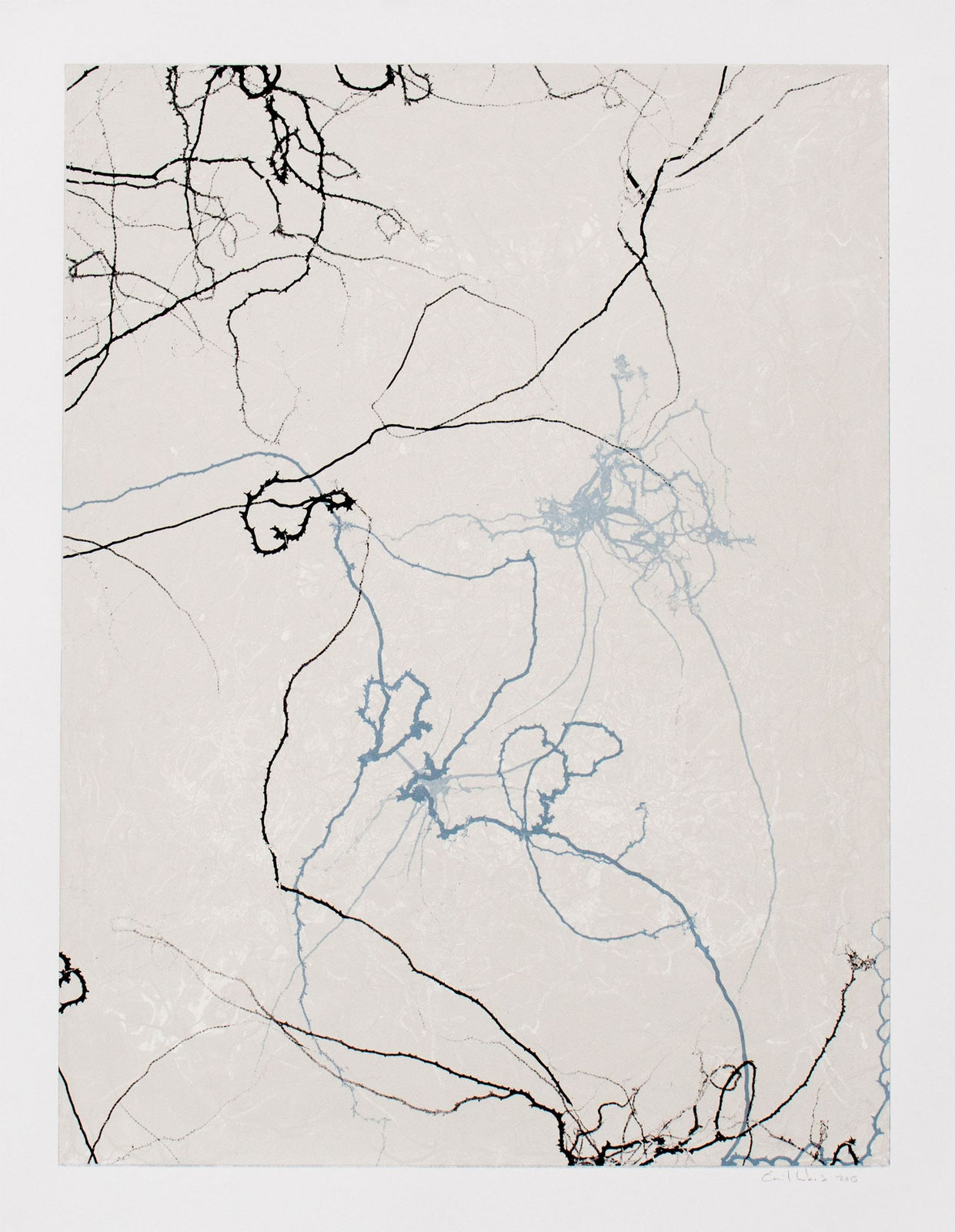 Emil Lukas, Larva 27, 2015