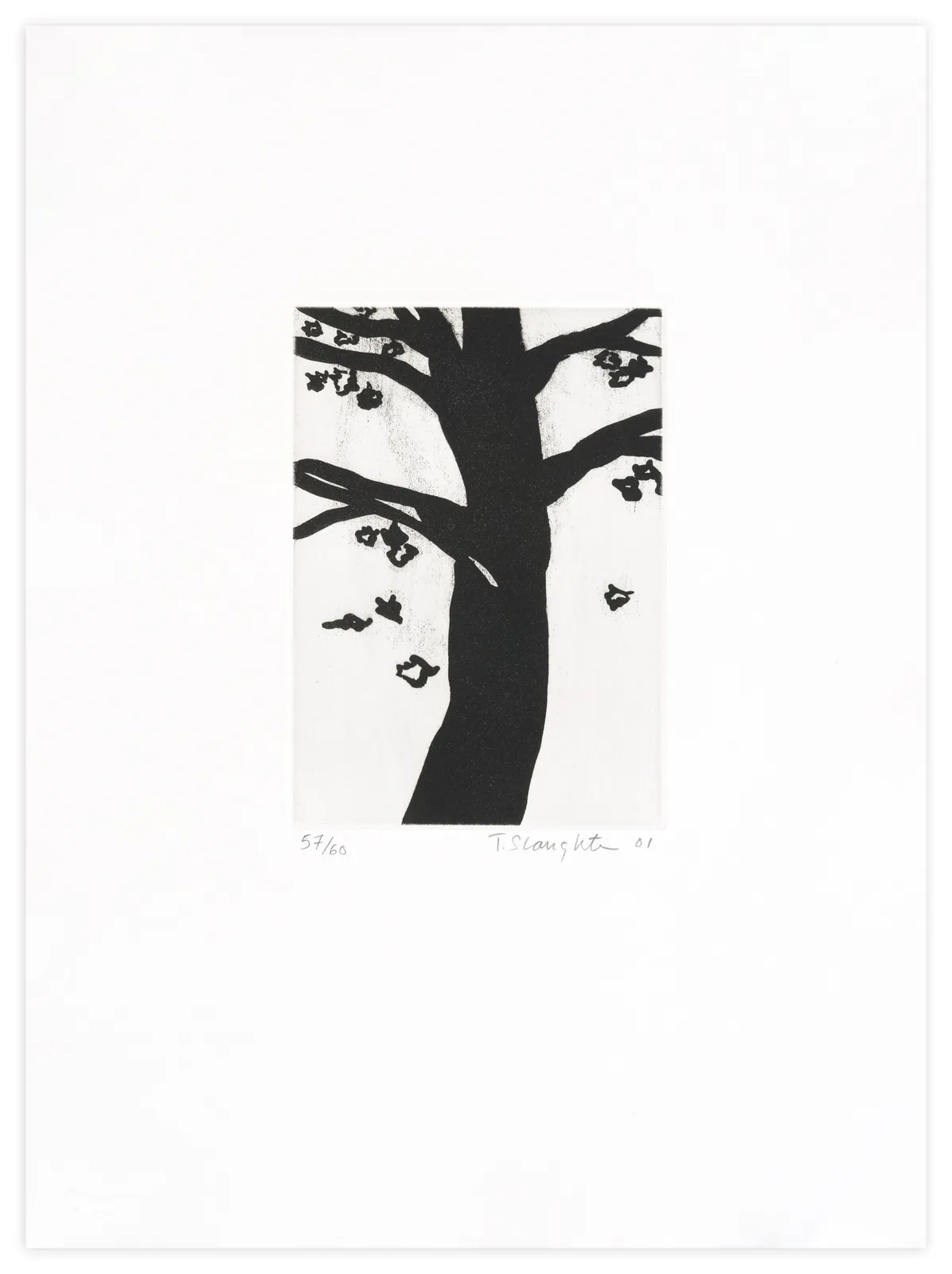 Tom Slaughter Maple Tree Print Edition