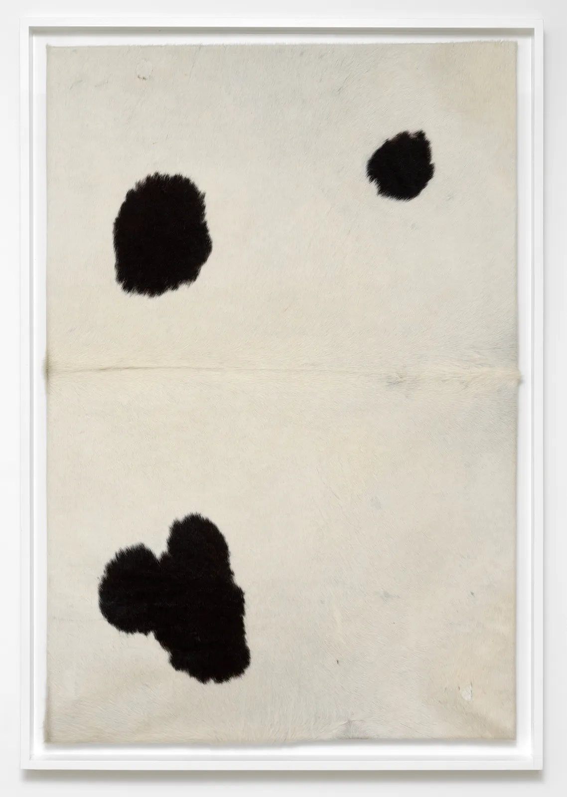 Henk Peeters, Bertha-1, 2008