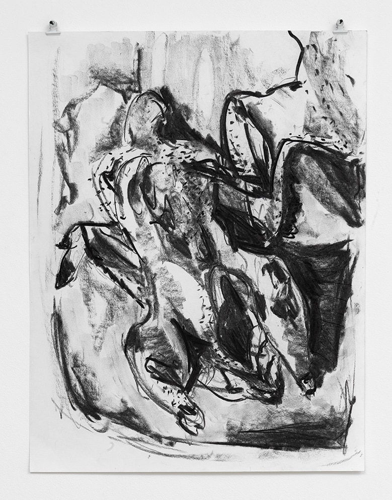 Wieske Wester, Haan uit de tuin #3, 2024