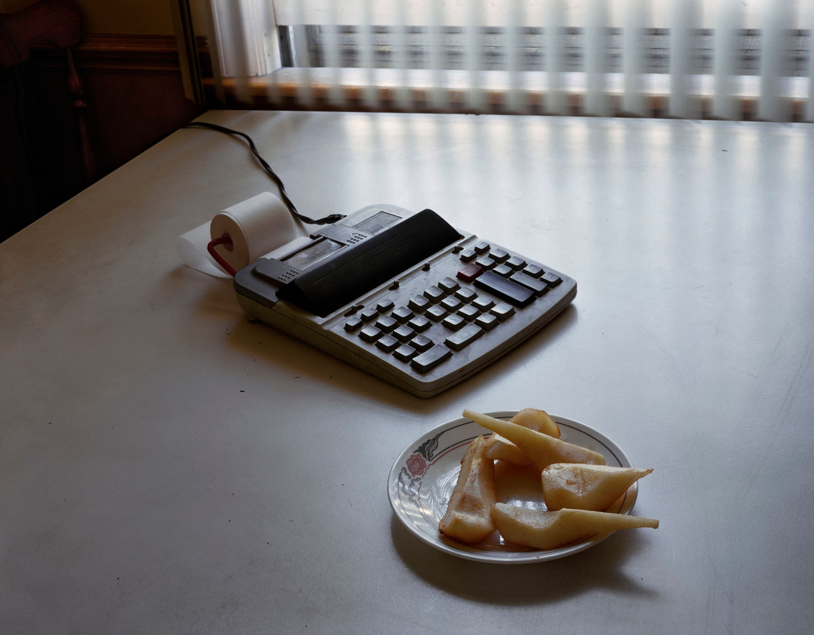 Anna Shteynshleyger, Pears and Calculator, 2004-2009