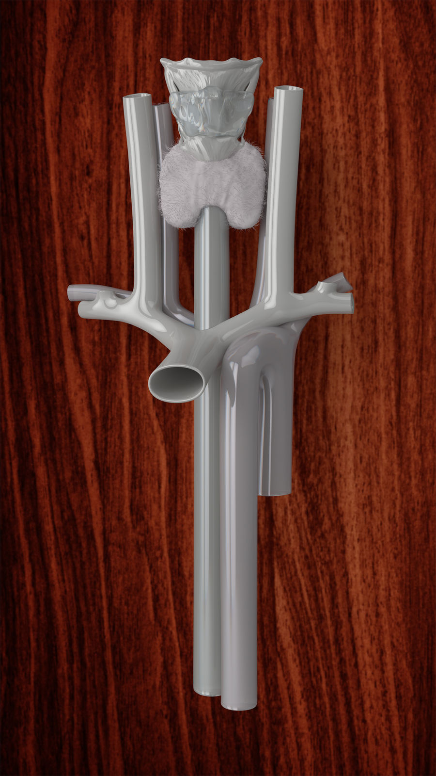 Adi Fluman, Neck, 2016