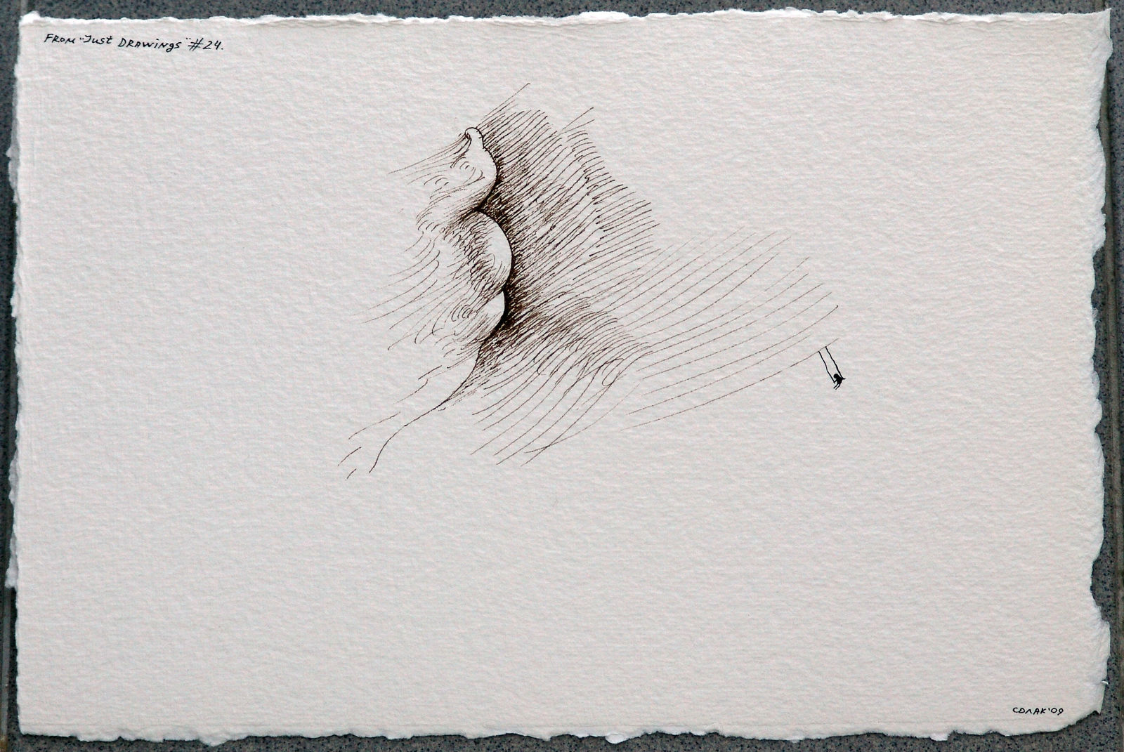 Nedko Solakov, Just Drawing #24, 2009