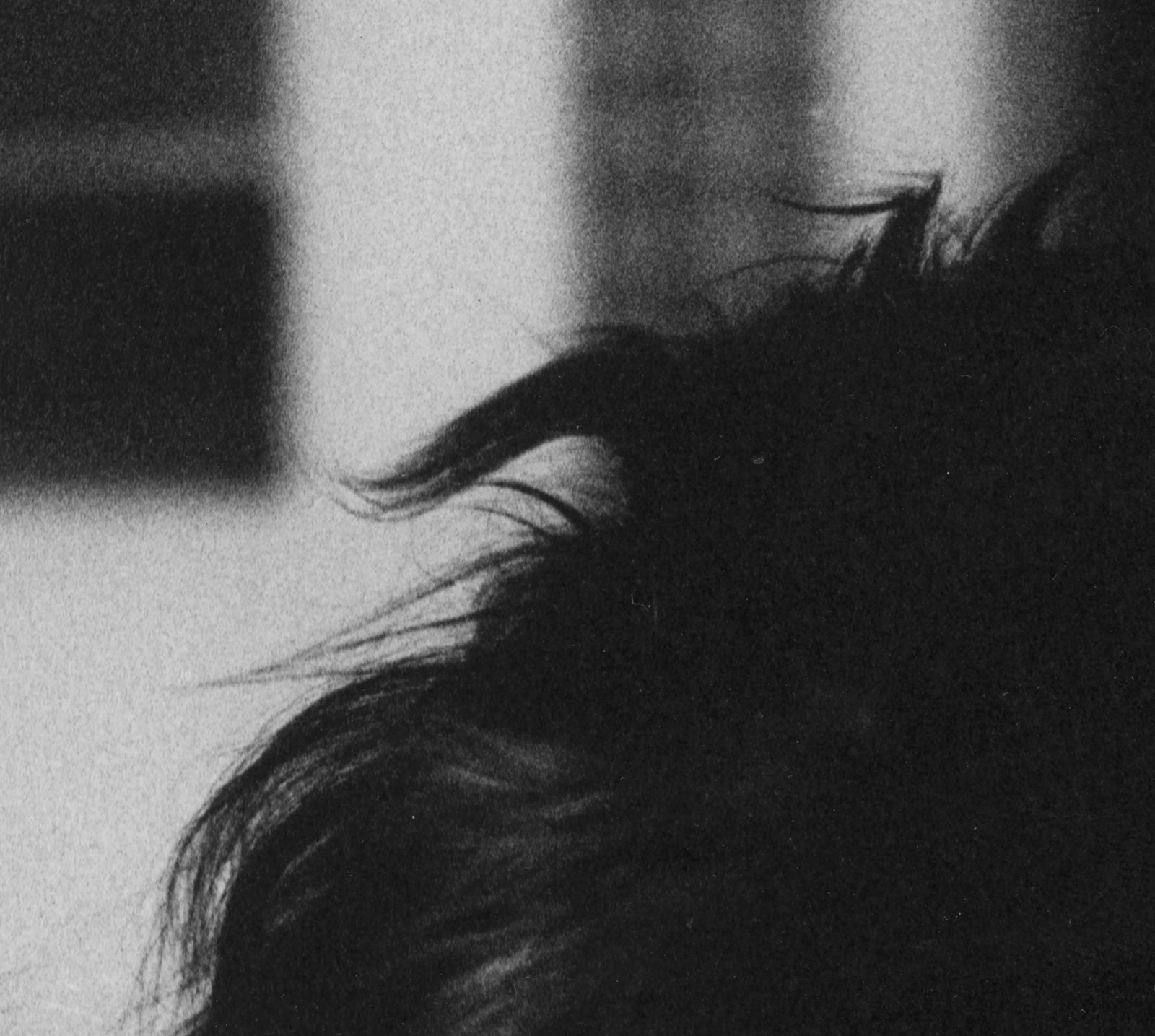 Jonathan Monk, Il cane di Pistoletto 1, 2017