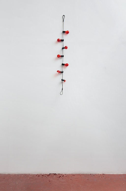 Douglas Gordon, All Reds, 2014