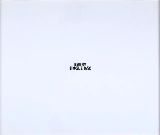 Haim Steinbach, Every Single Day, 2019