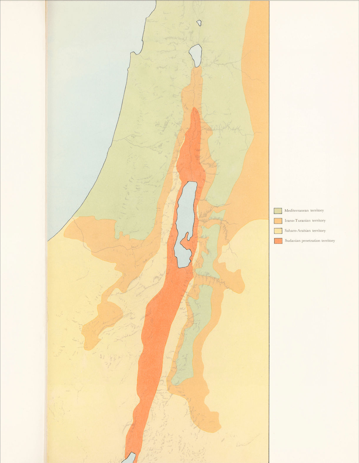 Dor Guez, Index, 2023