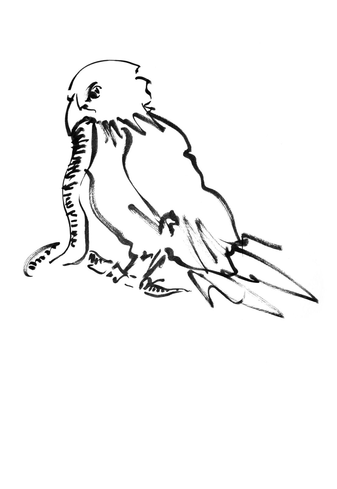 Mircea Cantor, Bellum & Maternitas, 2016