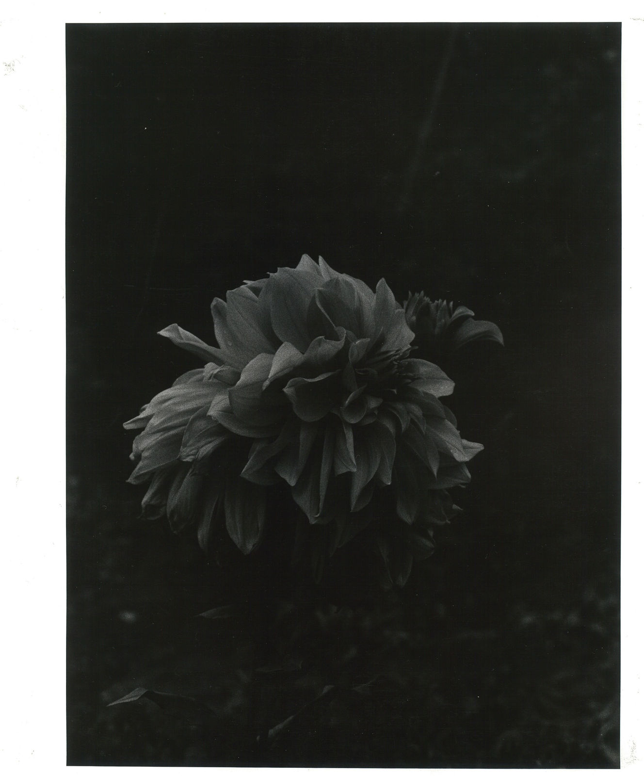 中平卓馬 Nakahira Takuma, 無題 Untitled, 1978 - 1989