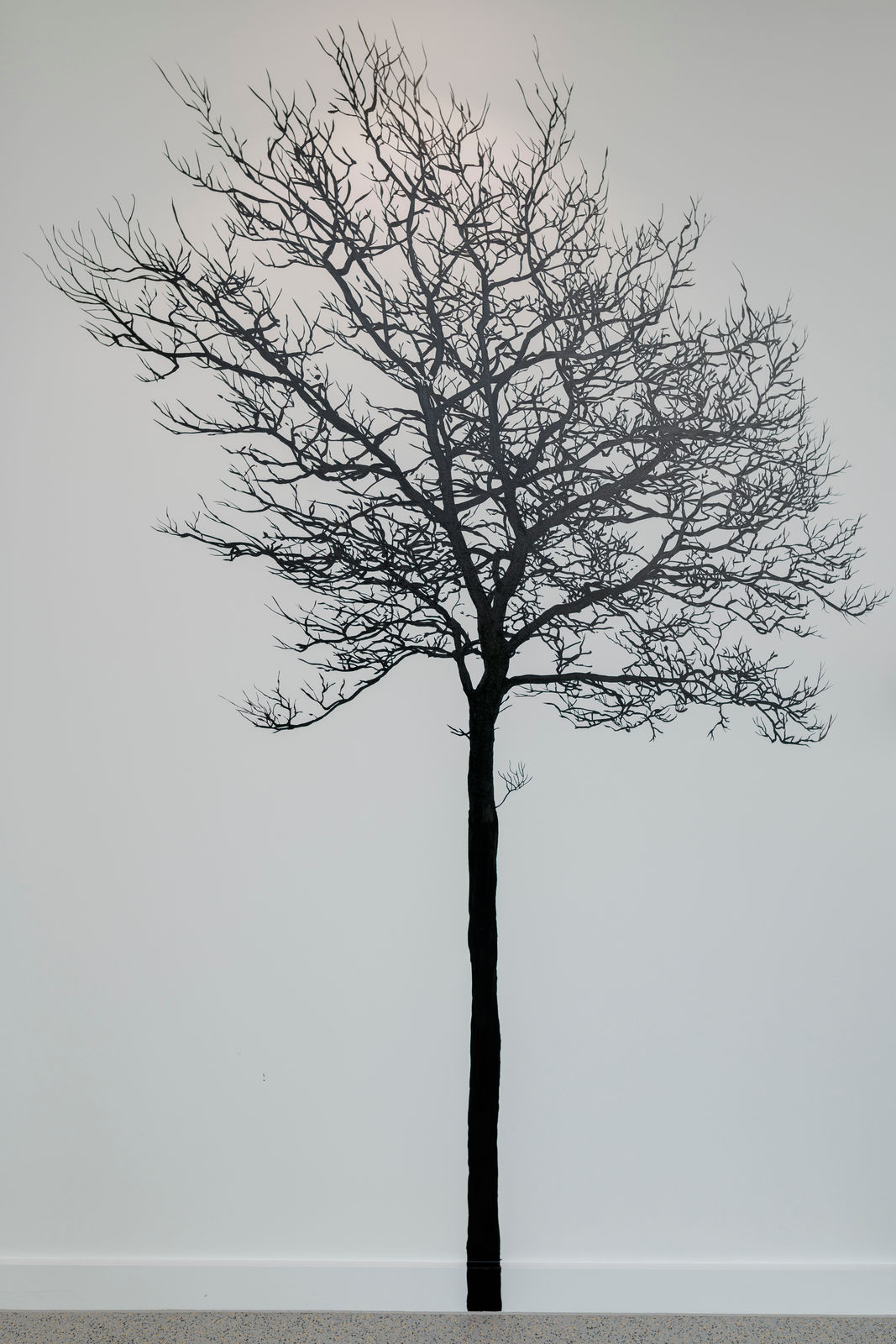 Eamon O'Kane, Meta Headquarters - Tástáil crainn (Tree test), 2022