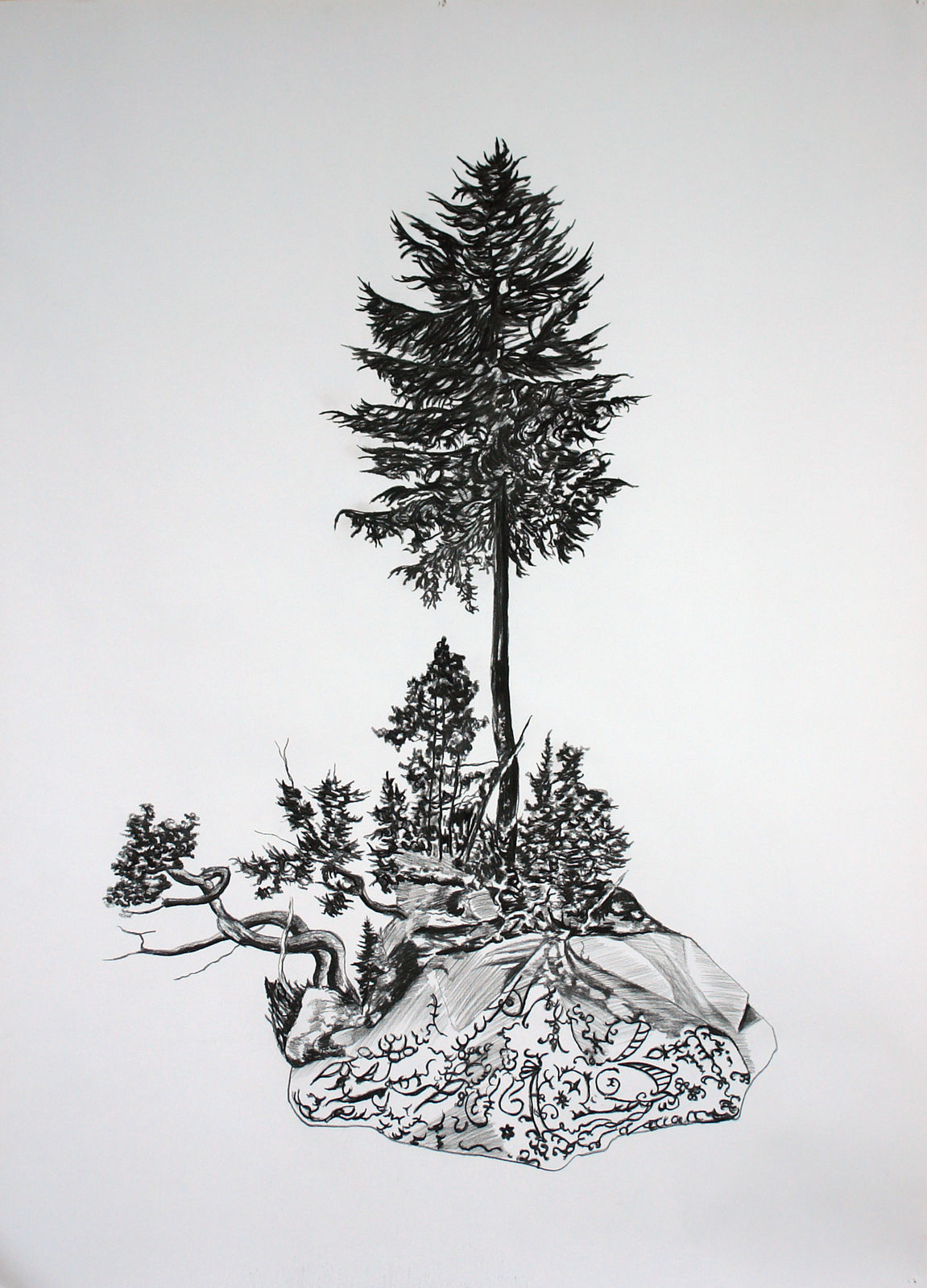 Eamon O'Kane, Hybrid Drawings, 2010 - present