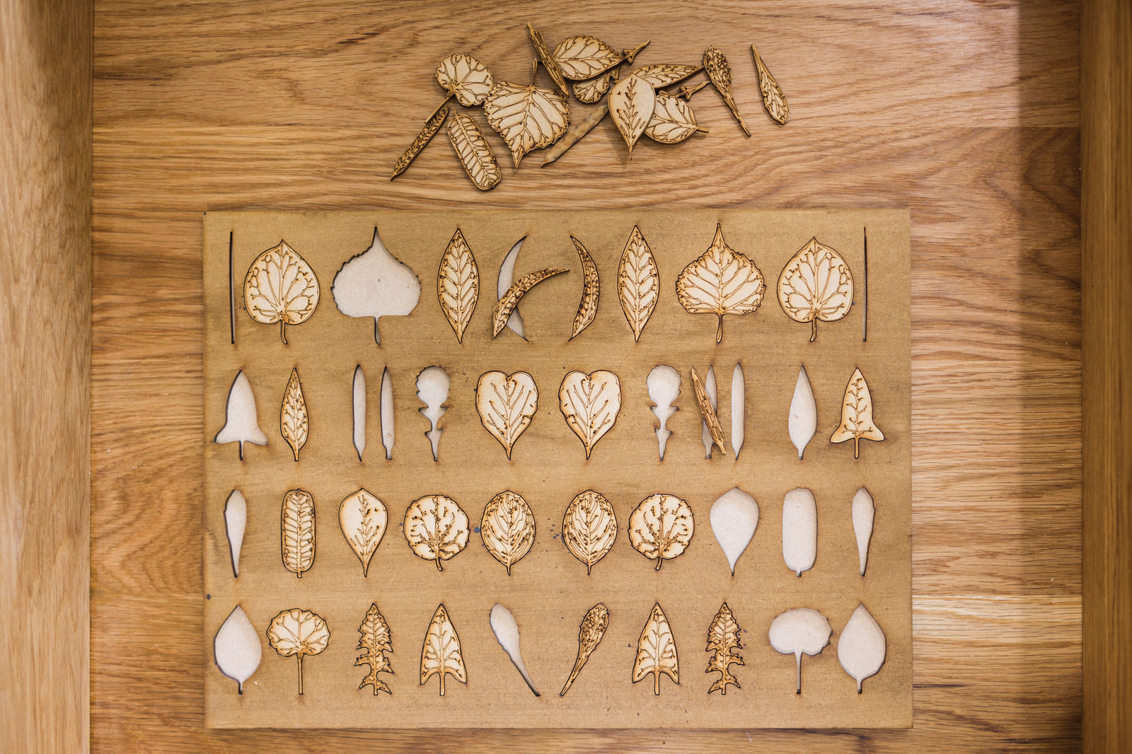 Eamon O'Kane, Saffron Gardens: Creative Toolboxes, 2013