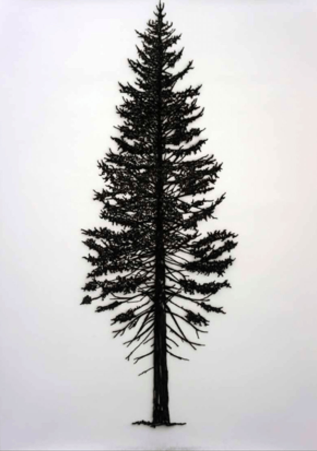 Eamon O'Kane, Baum Test IV, 2017