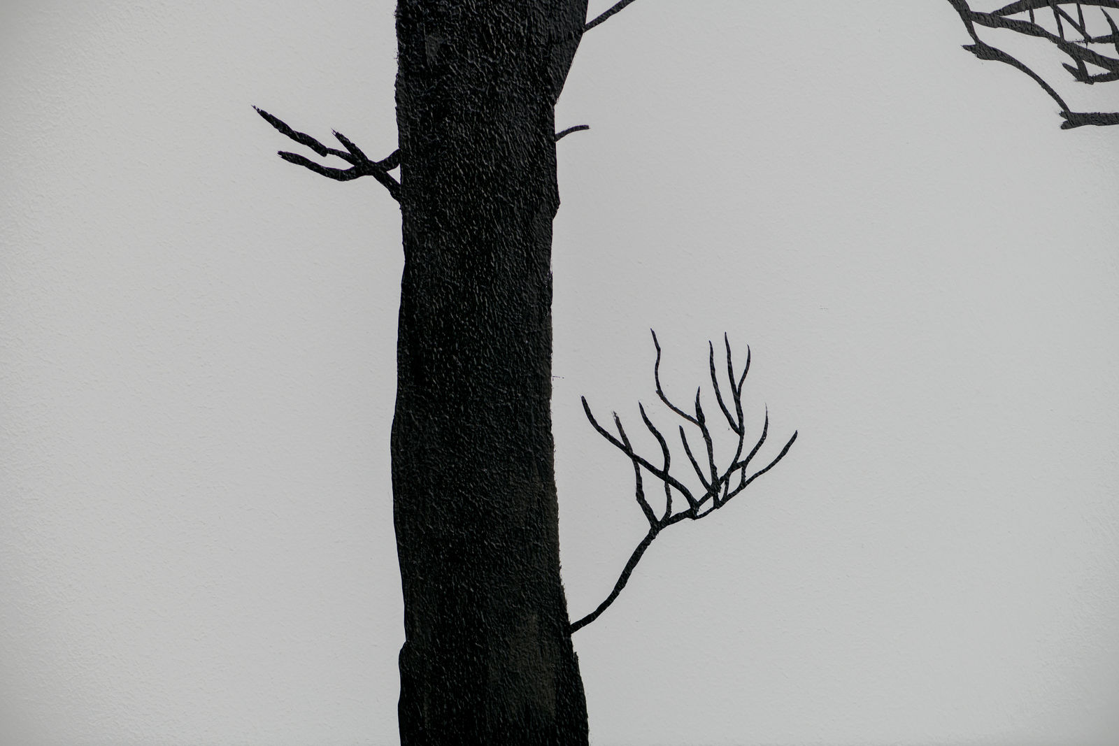 Eamon O'Kane, Meta Headquarters - Tástáil crainn (Tree test), 2022