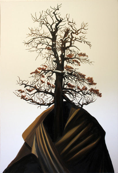 Eamon O'Kane, Hybrid Portraits, 2009 - 2010