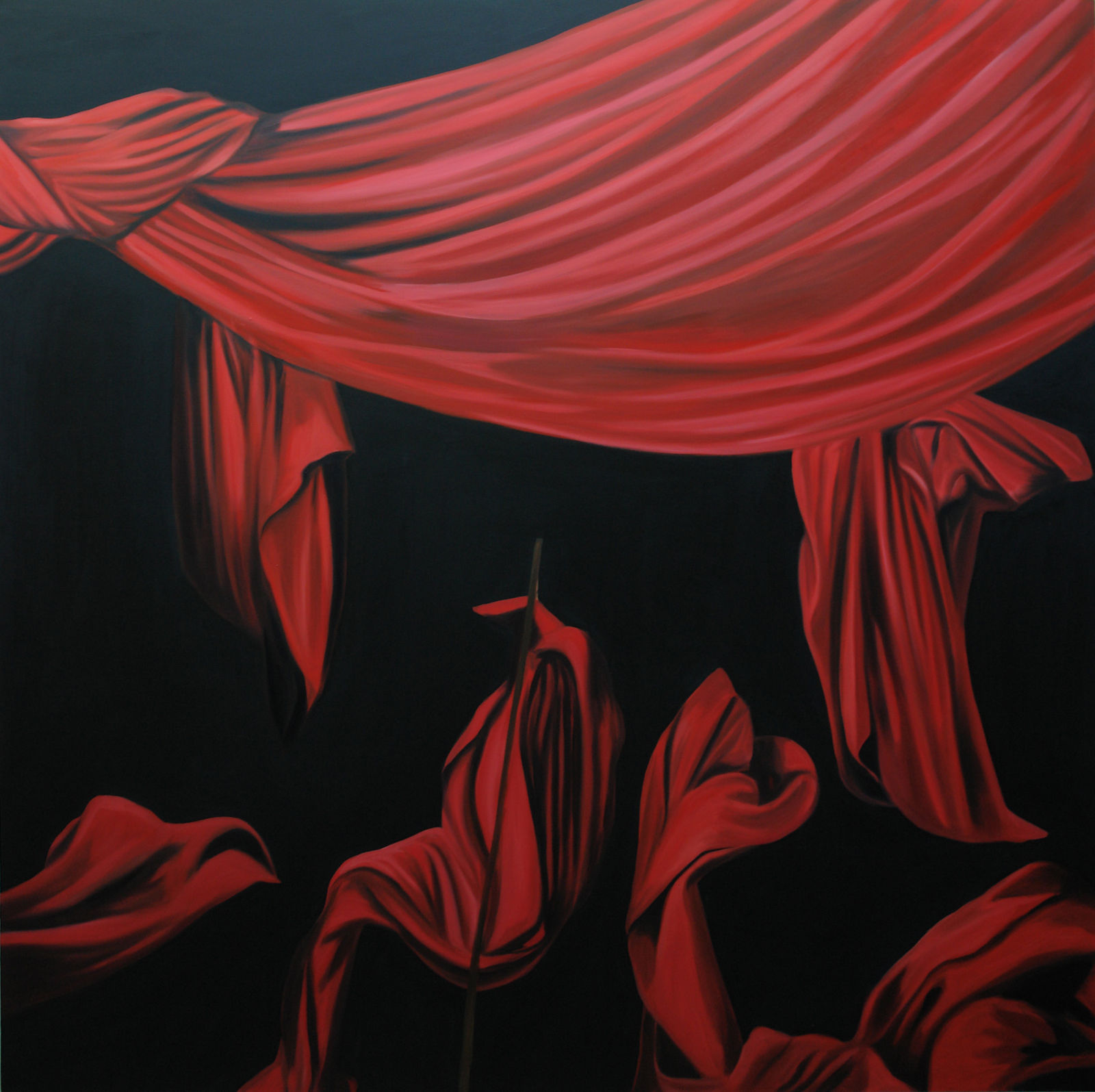 Eamon O'Kane, Cloth Hybrid series, 2006 - 2010