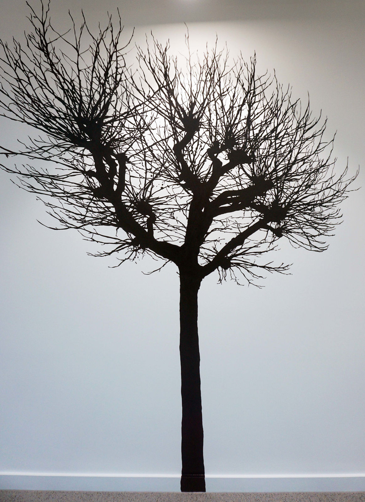 Eamon O'Kane, Meta Headquarters - Tástáil crainn (Tree test), 2022