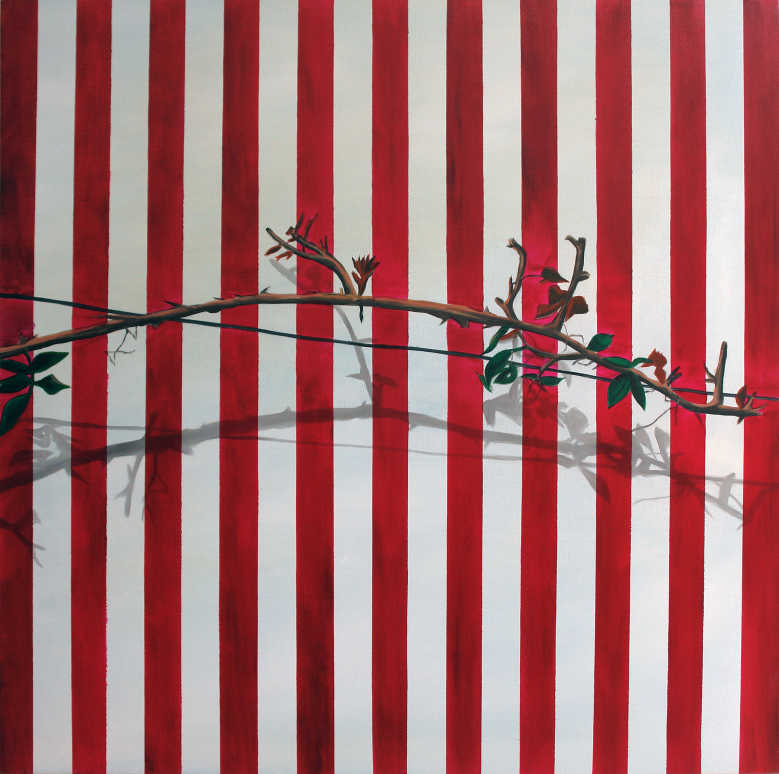 Eamon O'Kane, Plant Hybrid series, 2006 - 2011