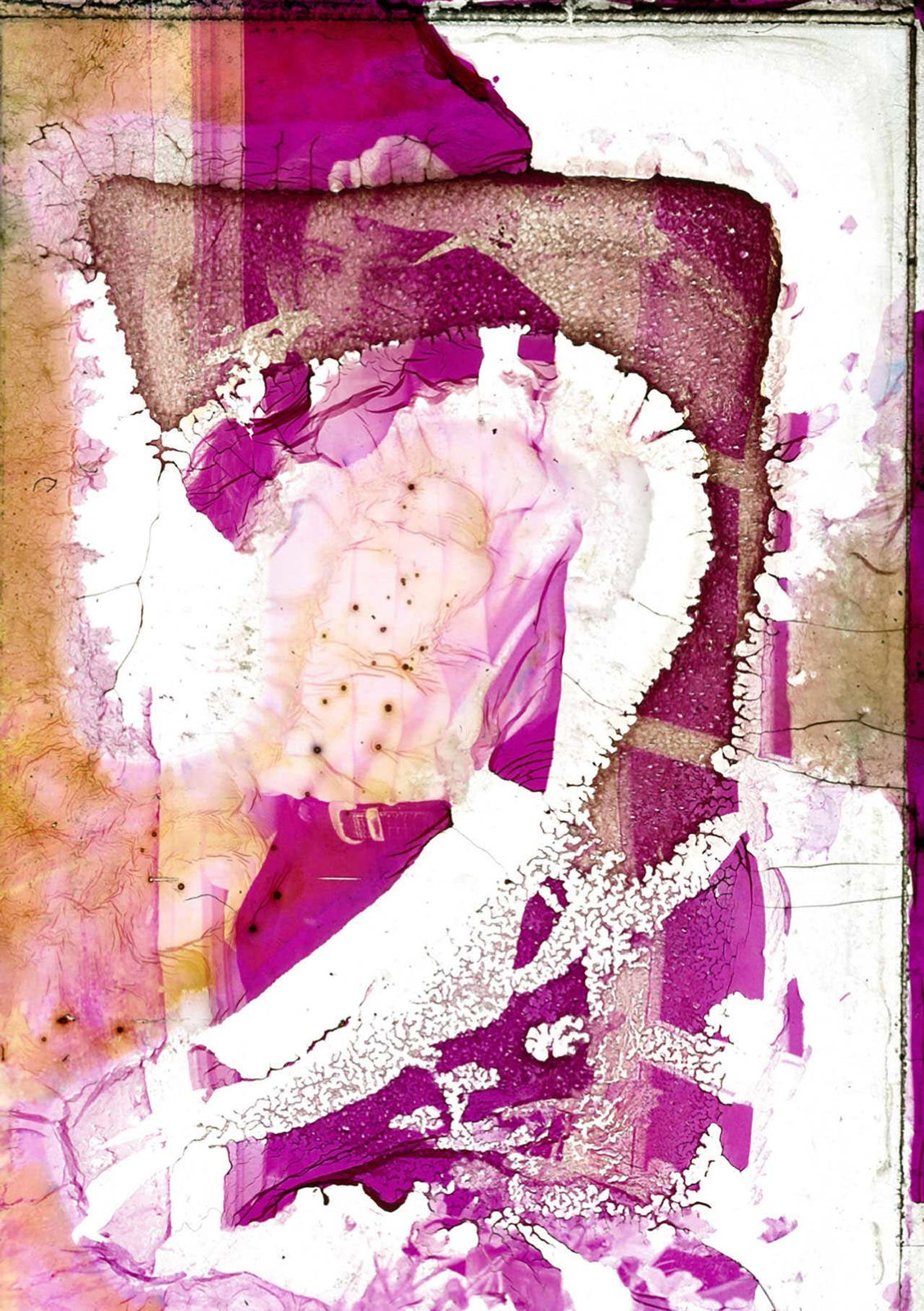 Robert Farber, Deterioration 147, 1982