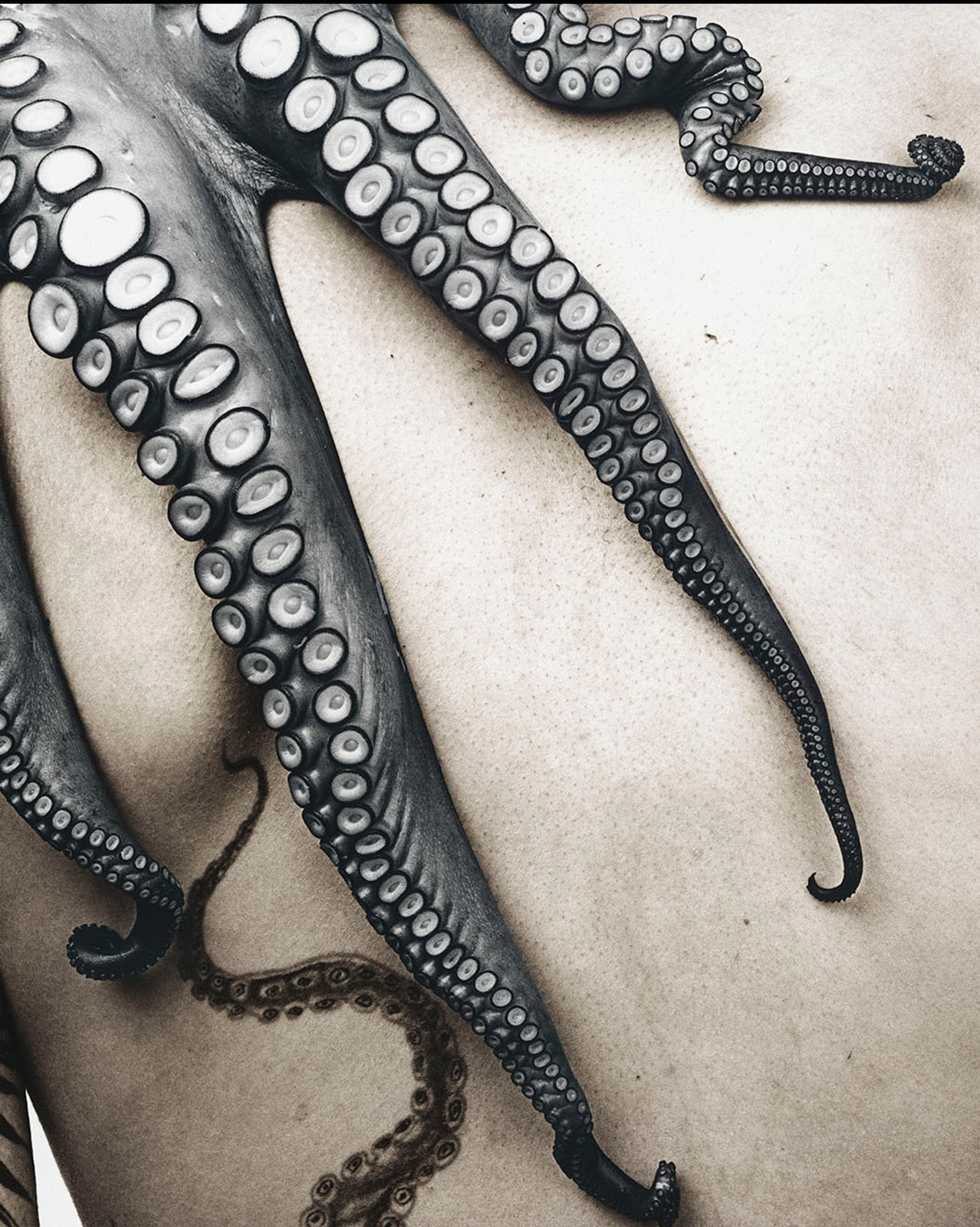 Jan C. Schlegel, Anna R. #8, England, 2016