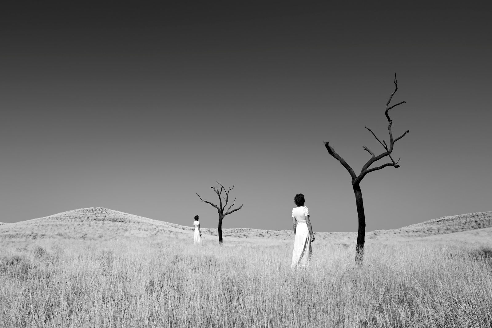 Astrid Verhoef, TreeII, 2017