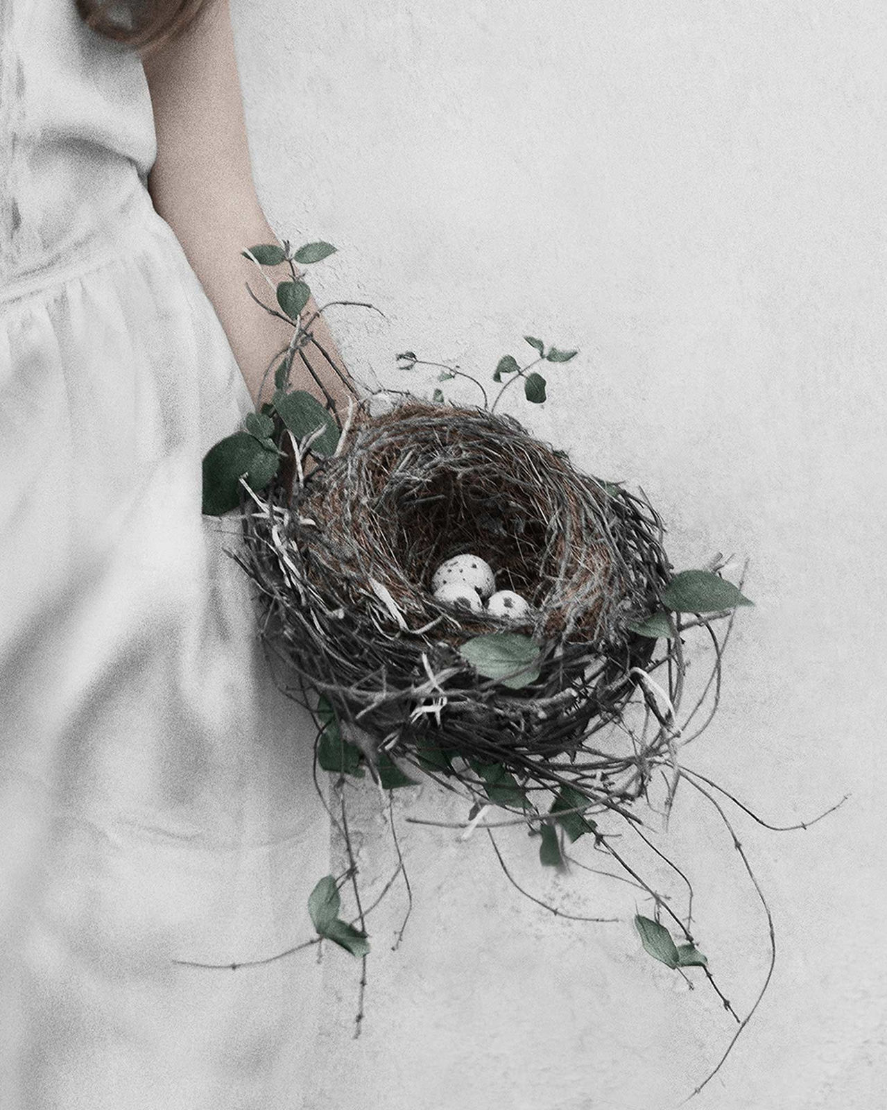 Vee Speers, Untitled #13, 2012