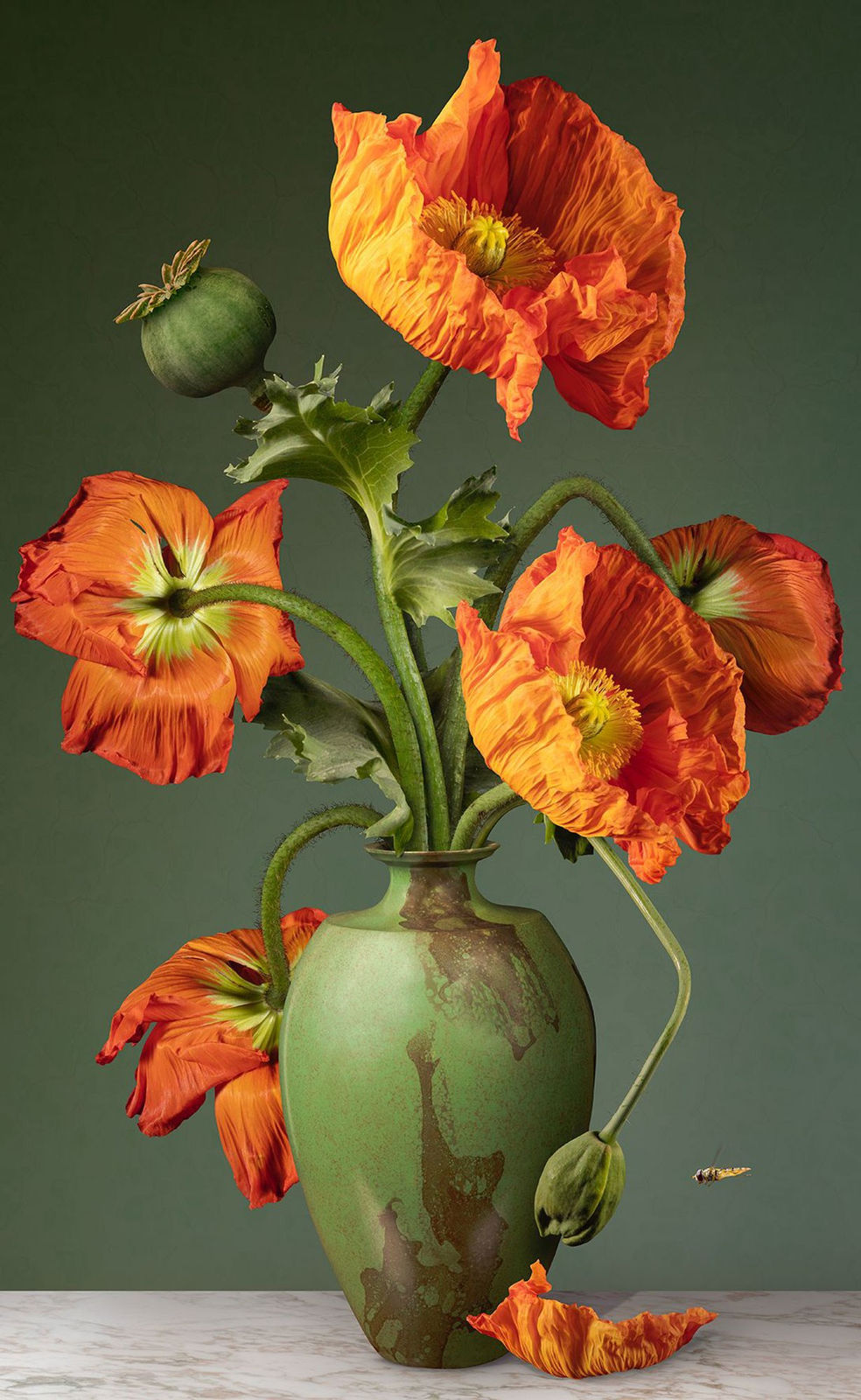 Bas Meeuws, Untitled #198, 2024