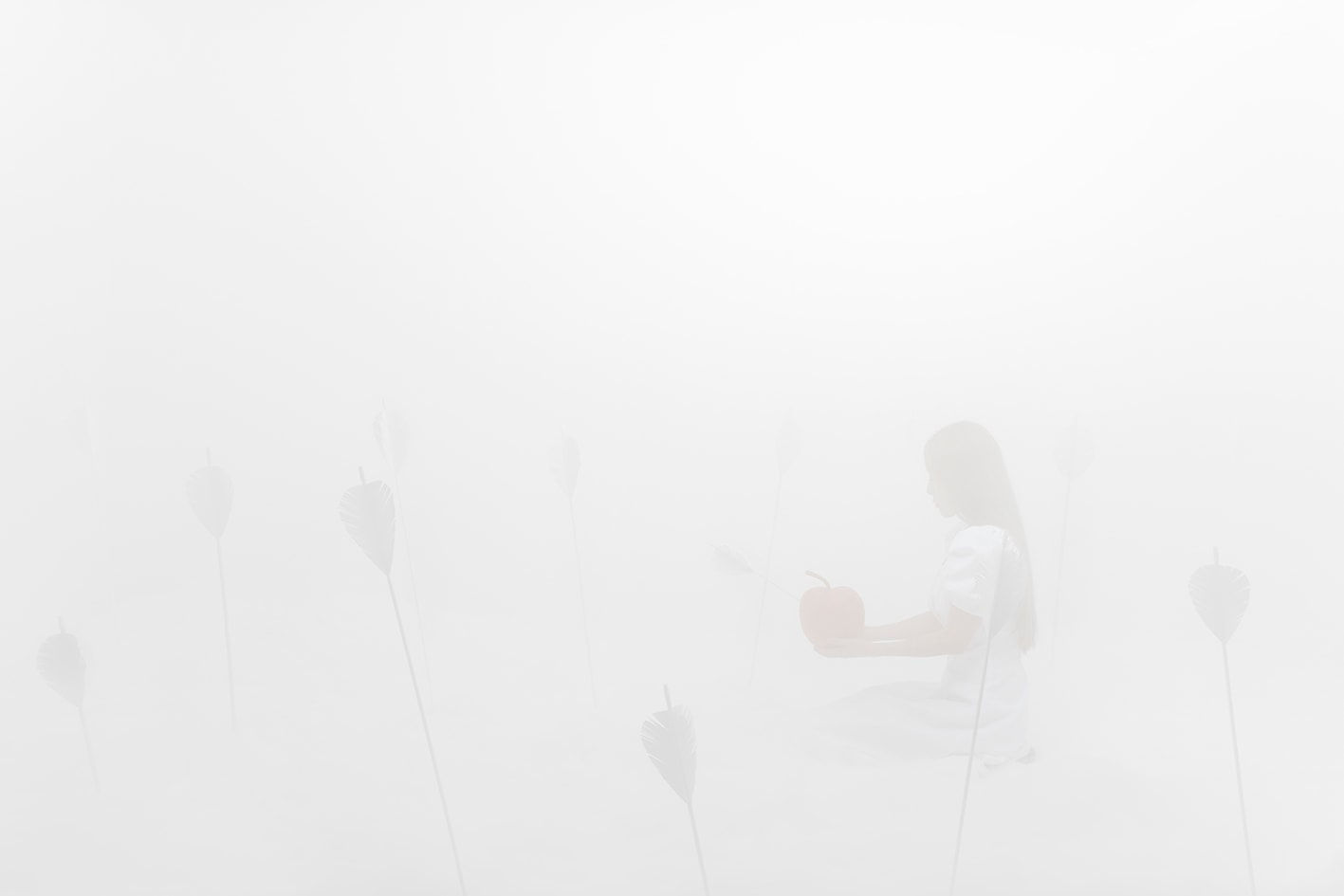 JeeYoung Lee, Fragile Days, 2024