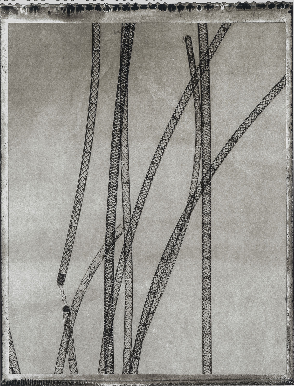 Jan C. Schlegel, Plate #23, 2024