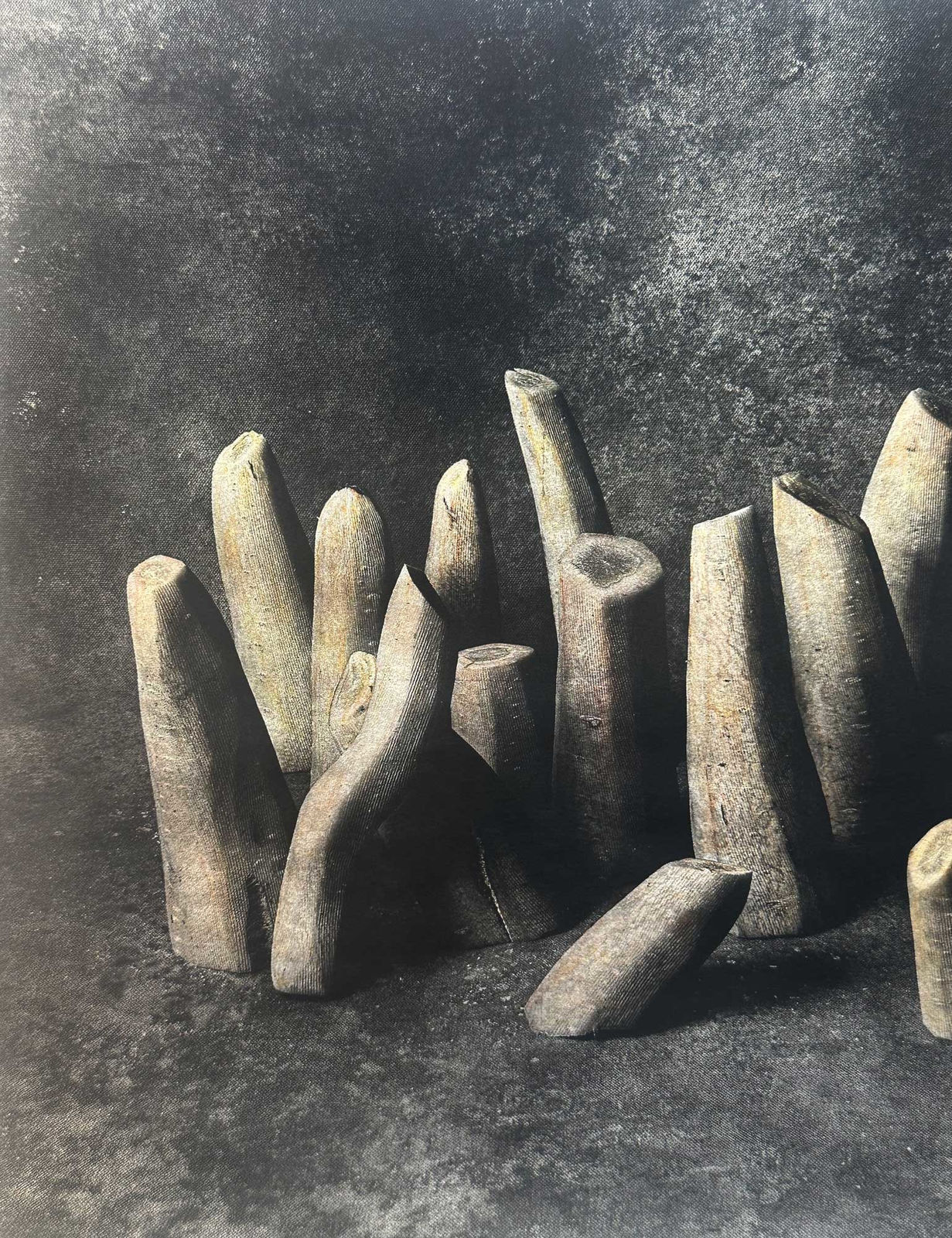 Olesya Spashchanskaya, Adagio, 2024