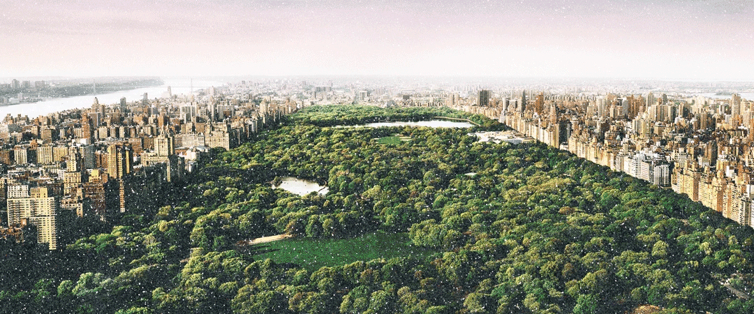 David Drebin, Dreams of Central Park, Diamond Dust, 2020