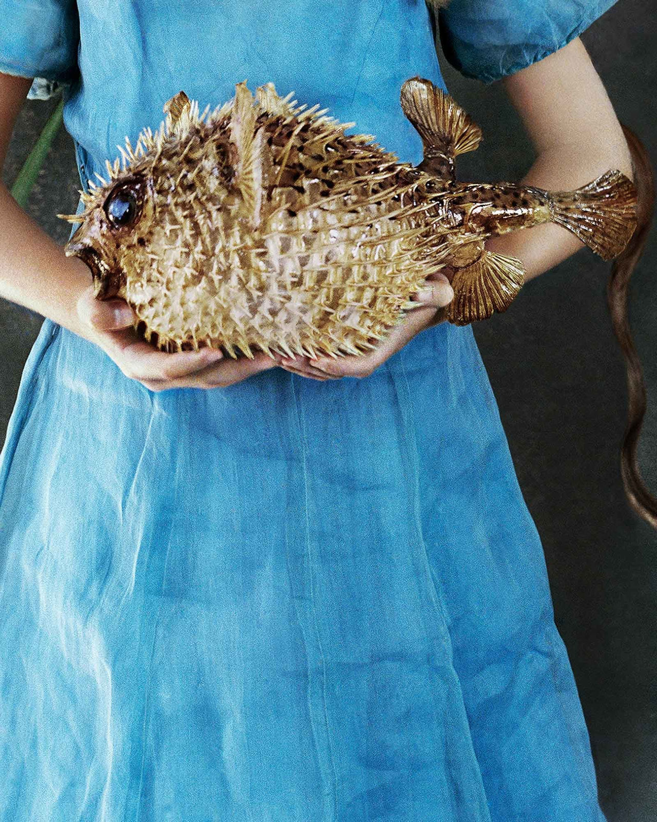 Vee Speers, Untitled #3, 2020