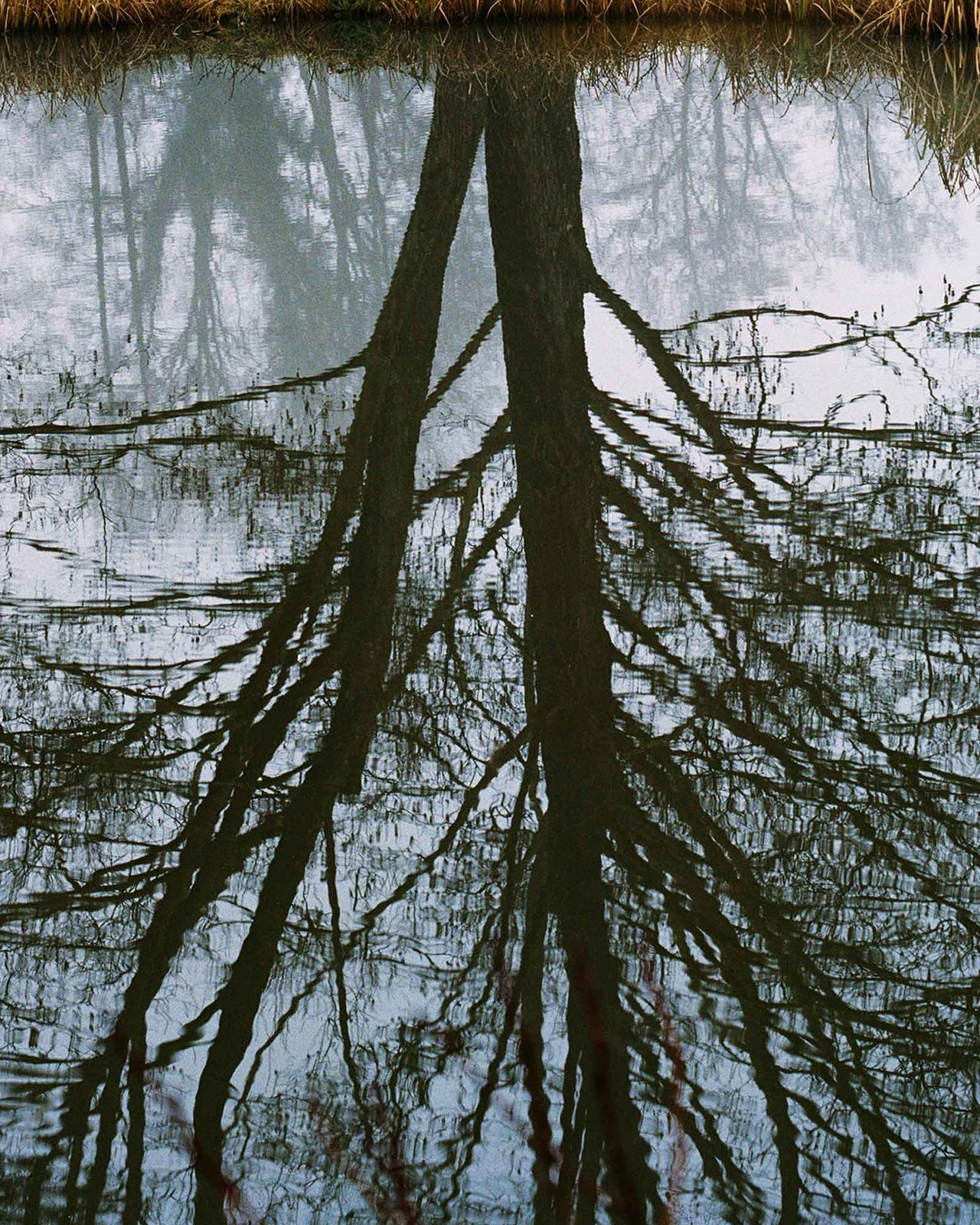 Vee Speers, Untitled #7, 2020