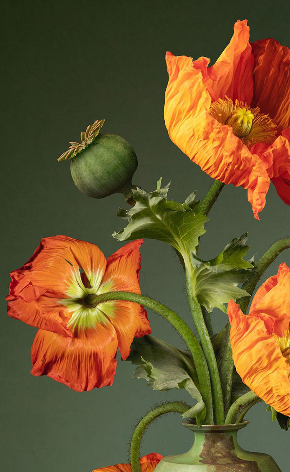 Bas Meeuws, Untitled #198, 2024