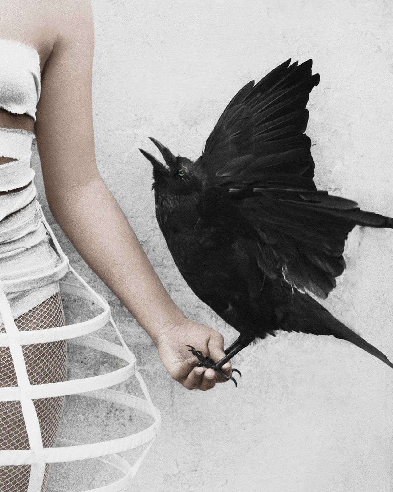 Vee Speers, Untitled #5, 2012