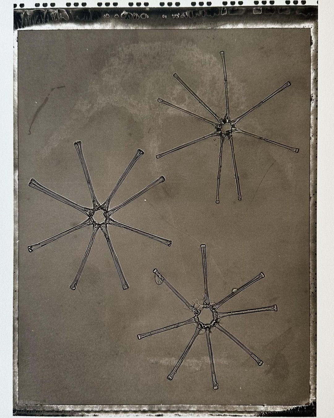 Jan C. Schlegel, Plate #45, 2024