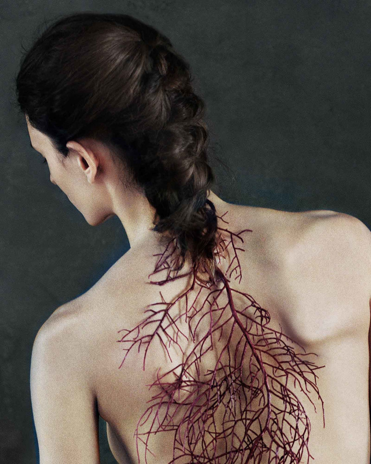 Vee Speers, Untitled #23, 2020