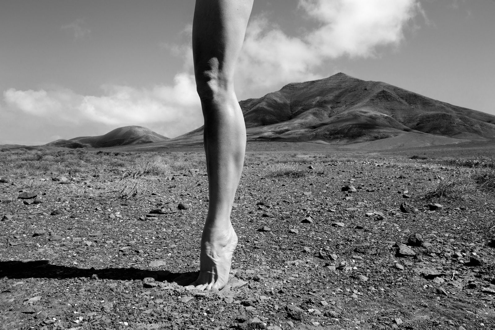 Astrid Verhoef, Leg, 2018
