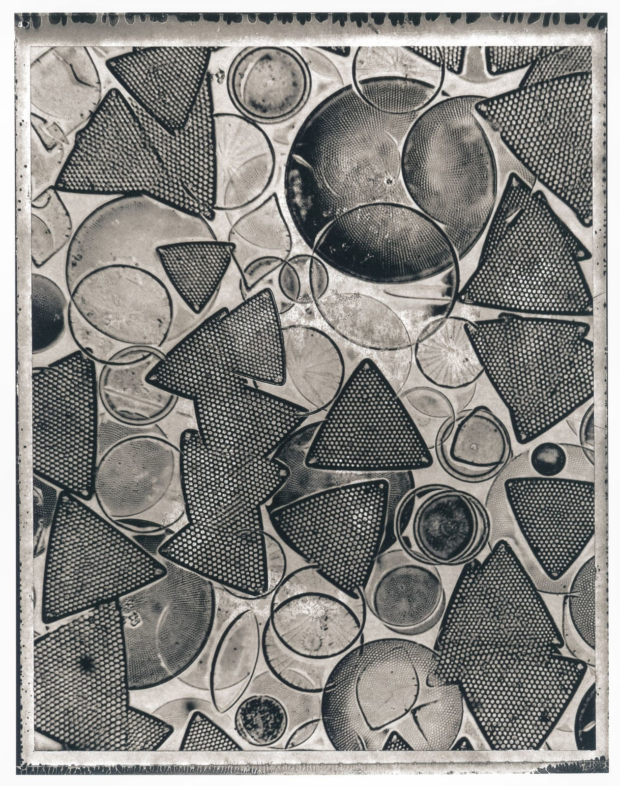 Jan C. Schlegel, Plate #44, 2024