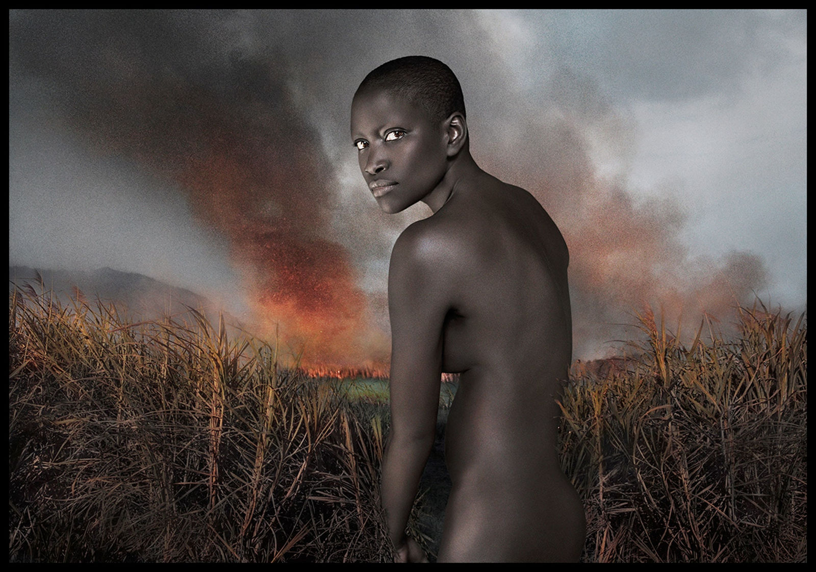 Vee Speers, Immortal #3, 2010