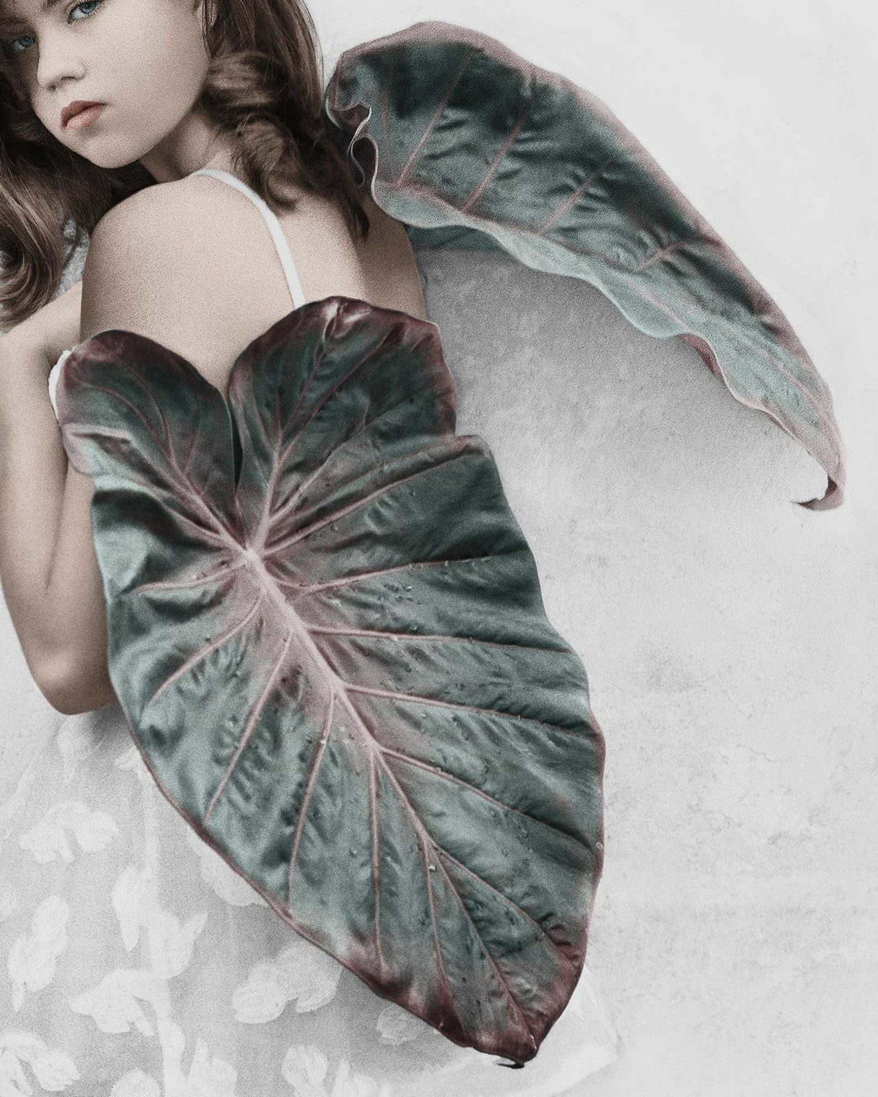 Vee Speers, Untitled #2, 2012