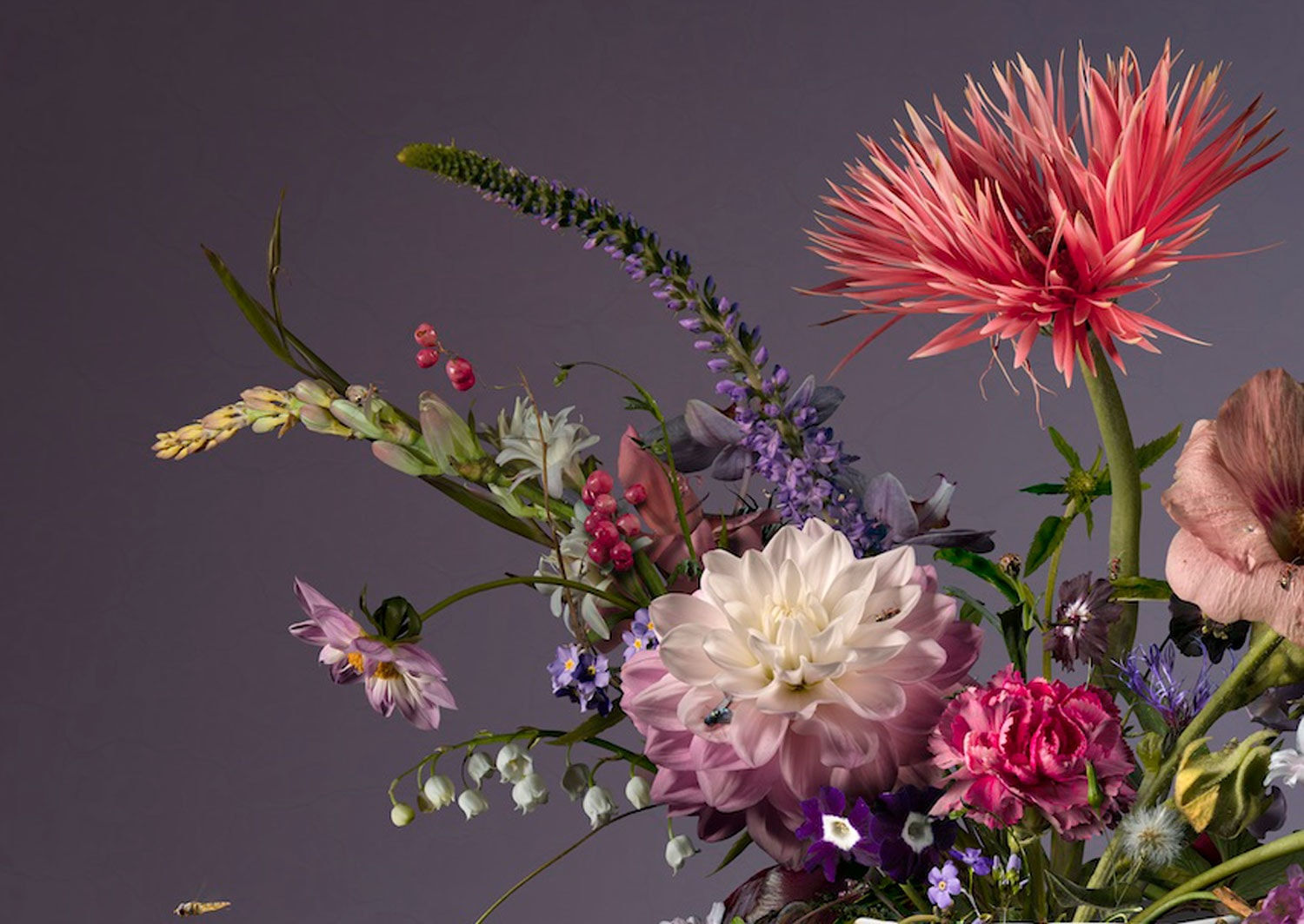 Bas Meeuws, Untitled #181, 2022