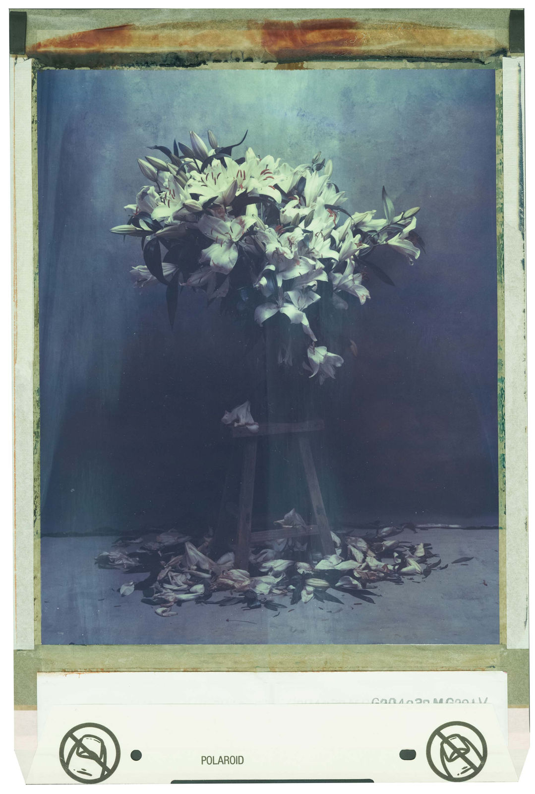 Jan C. Schlegel, Polaroid #016, 2021