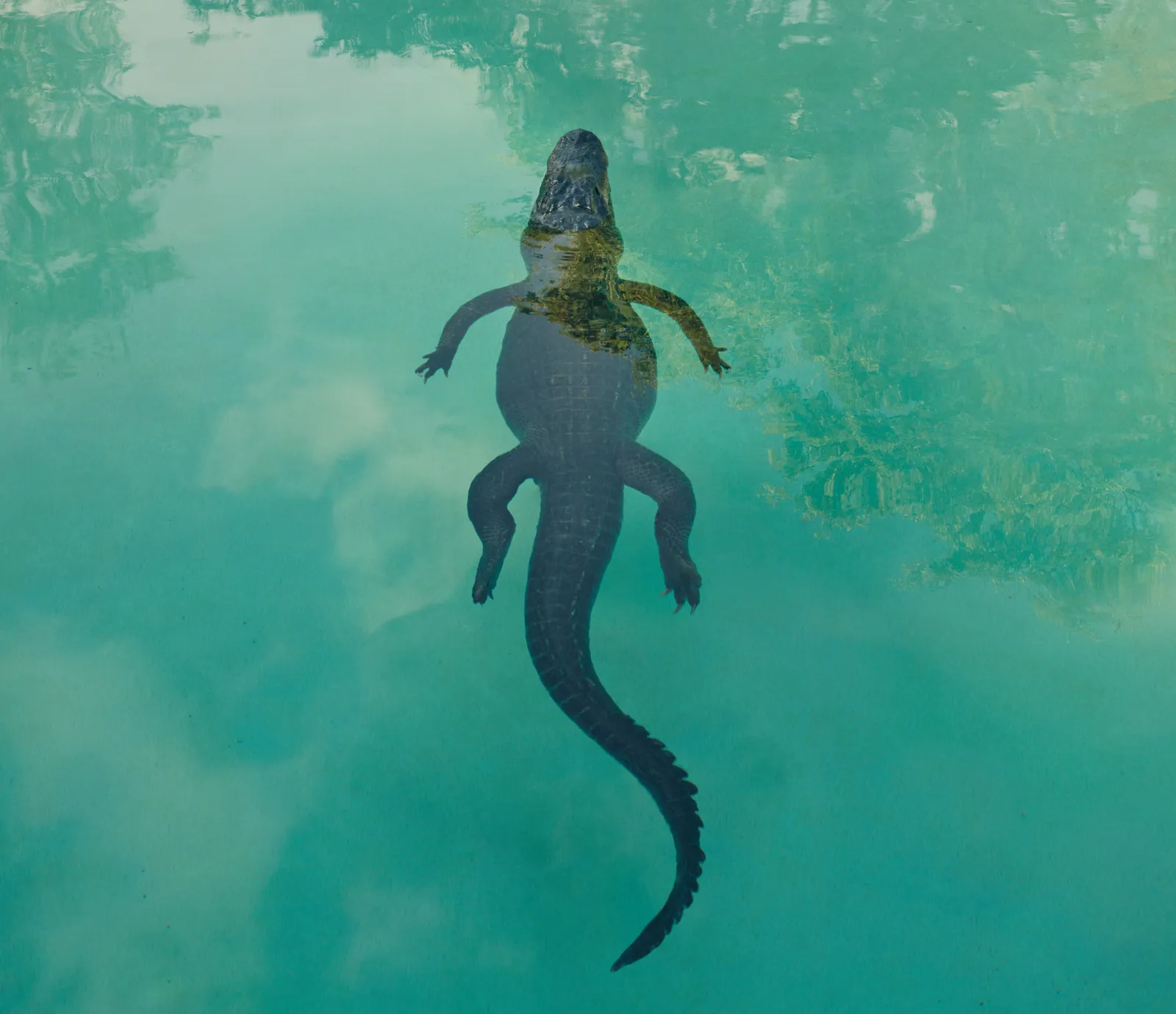 Dean West, Luis (The Wrangler) #1, Boca Raton AP, 2021