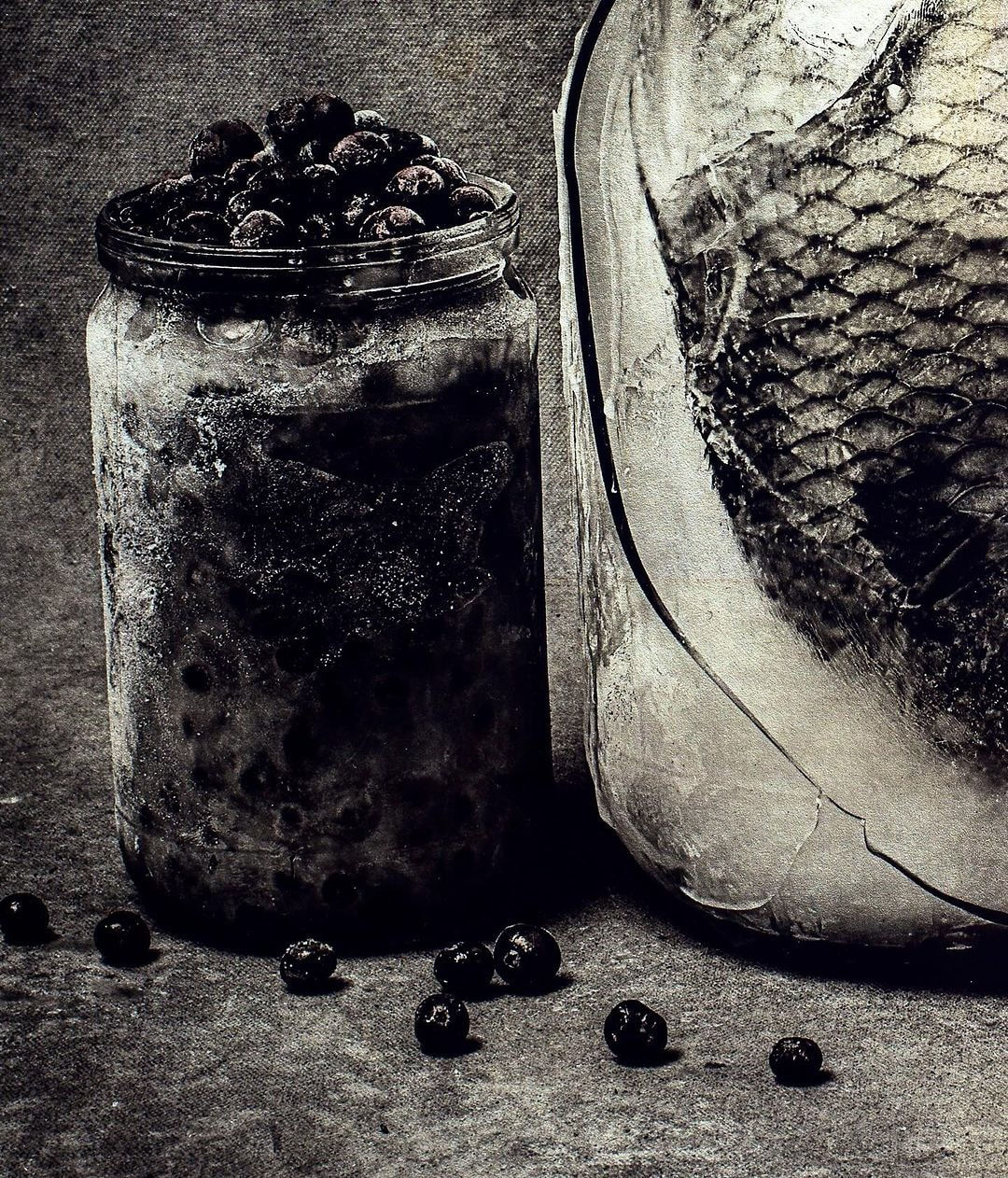 Jan C. Schlegel, Still Life with Fish and Berries, 2024