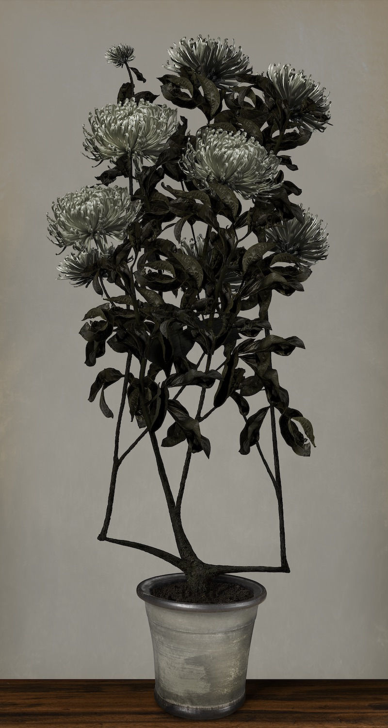 Bas Meeuws, Hommage à Sanyu (#13), 2018