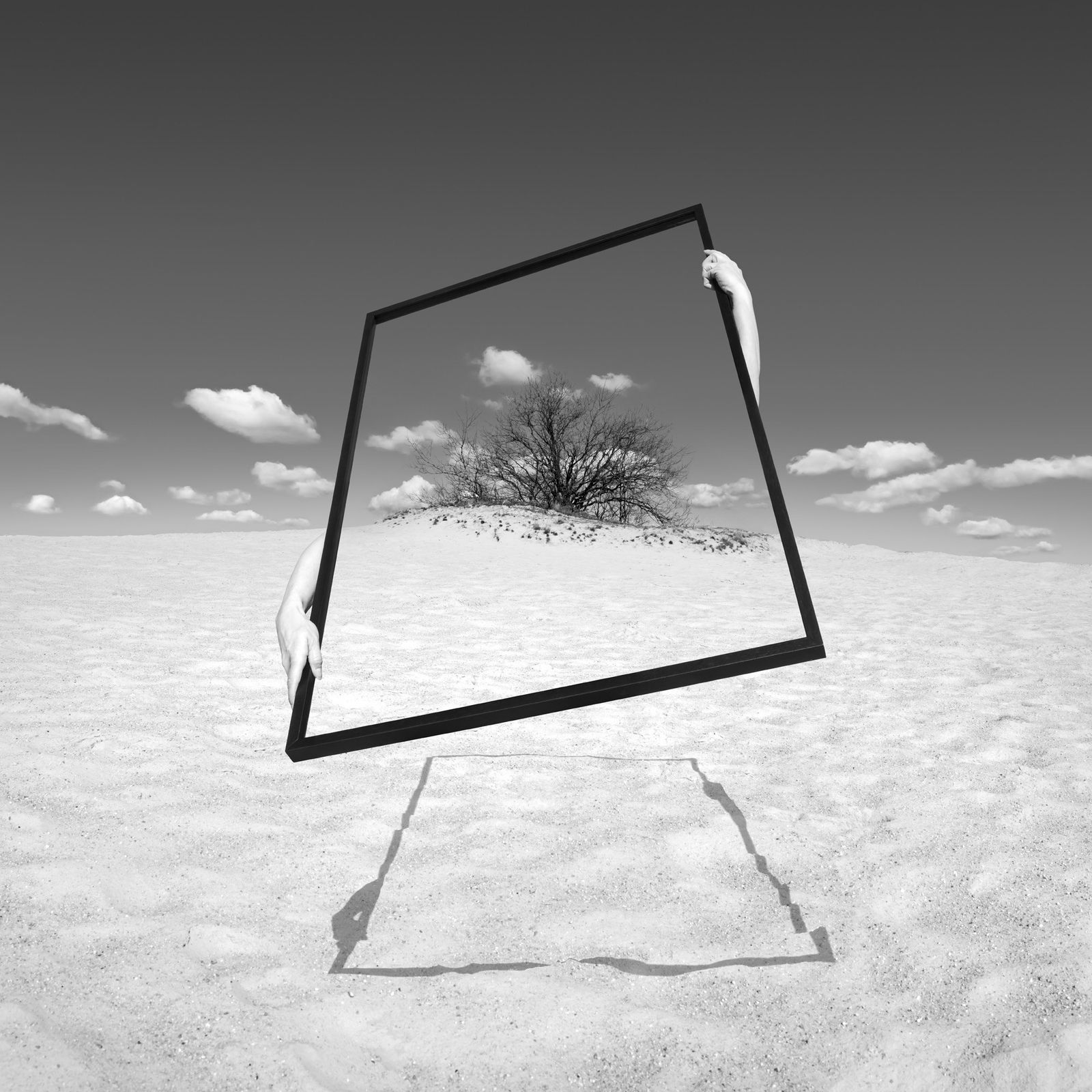 Astrid Verhoef, Human Nature 14 , 2021