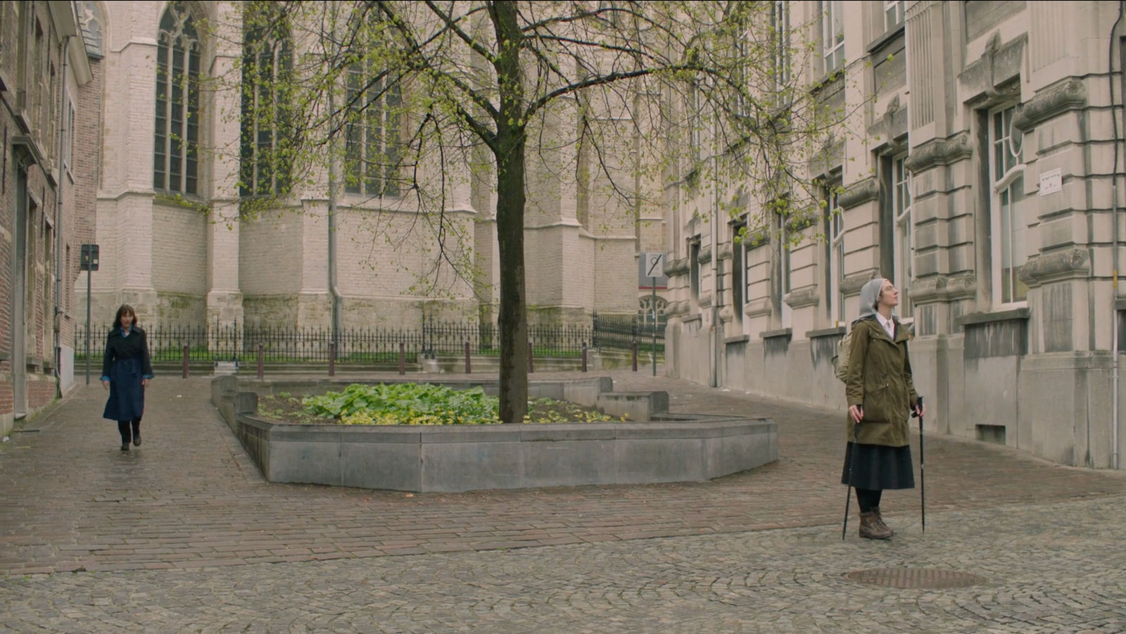 Lucile Desamory, De Wervelende Wirwar, 2024