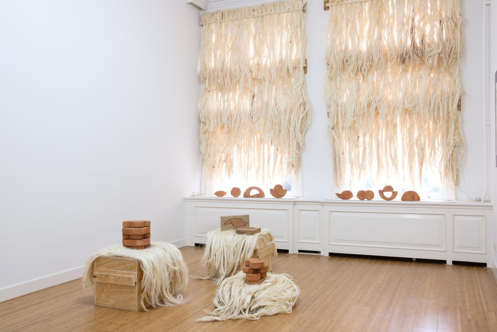 Mauricio Limon, A Set of Non-Verbal Fantasies (Arcilla y Henequen), 2018